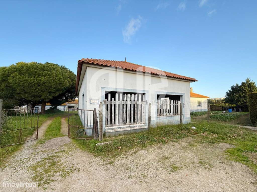 Moradia T3 + Área Terreno 4.150m2 + Atracadouro // P/Recuperar-43