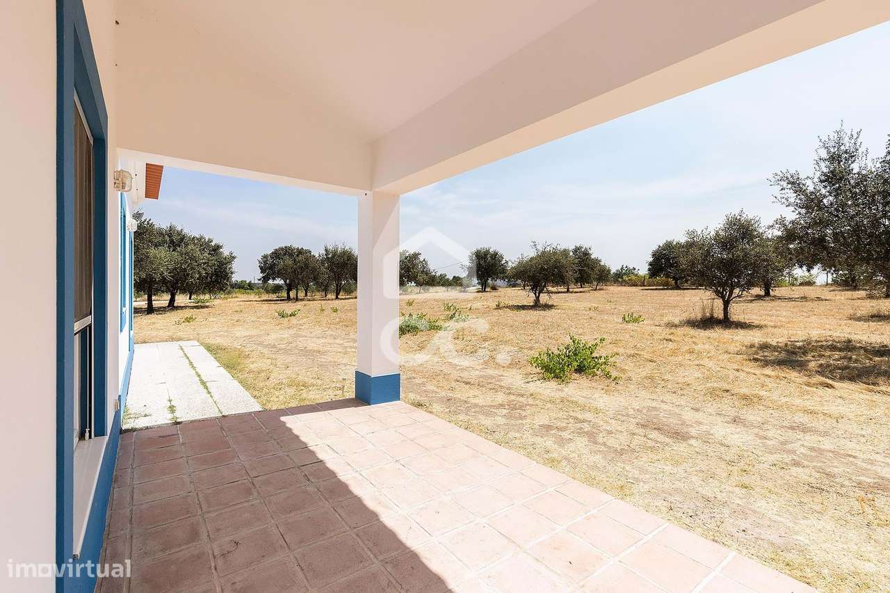 Quinta de 1,29 ha c/ Moradia T4 e Piscina | Reguengos de Monsaraz, Évo-37