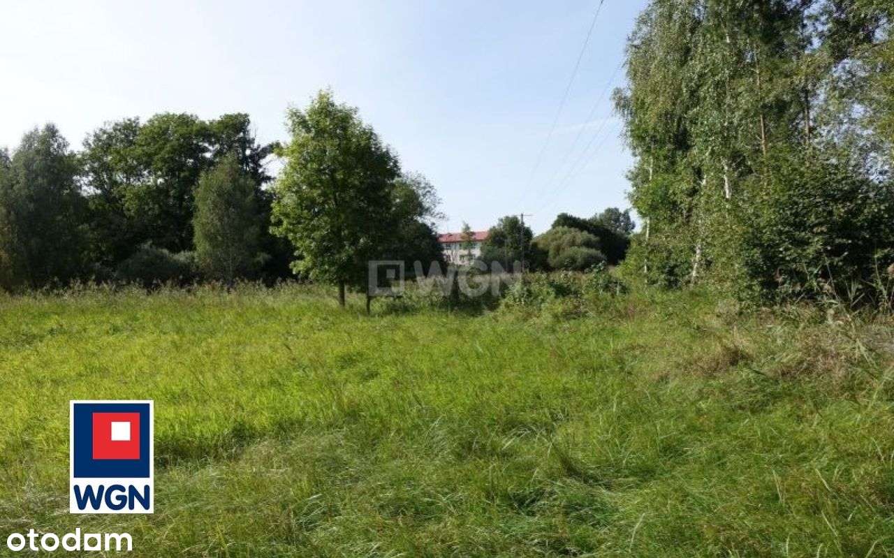 Działka, 25 425 m², Bobrowo - Pełny obrazek: 4/8