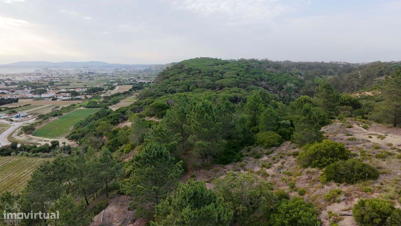 Terreno Rústico com Vista Mar e Potencial Ecológico-23