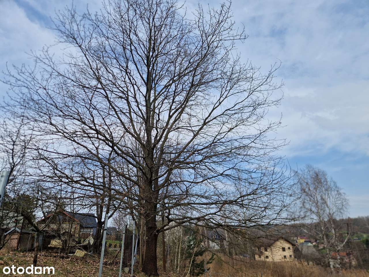 Działka budowlana 10 arów - Burów k. Krakowa - Pełny obrazek: 4/10