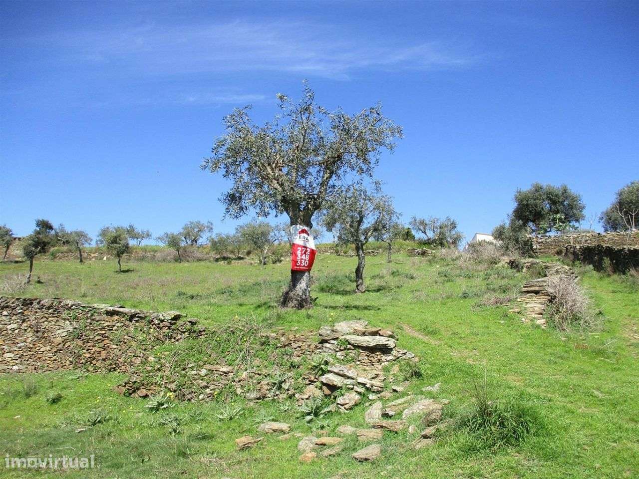 Quinta - Grande imagem: 5/6