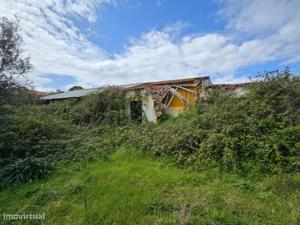 QUINTA COM 5HA DE TERRENO COM 500M2 URBANO - GALVEIAS - PONTE DE SOR-21