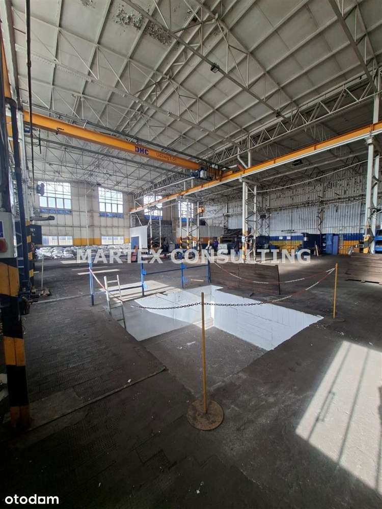 Hala/Magazyn, 5 430,55 m², Czeladź - Pełny obrazek: 4/10