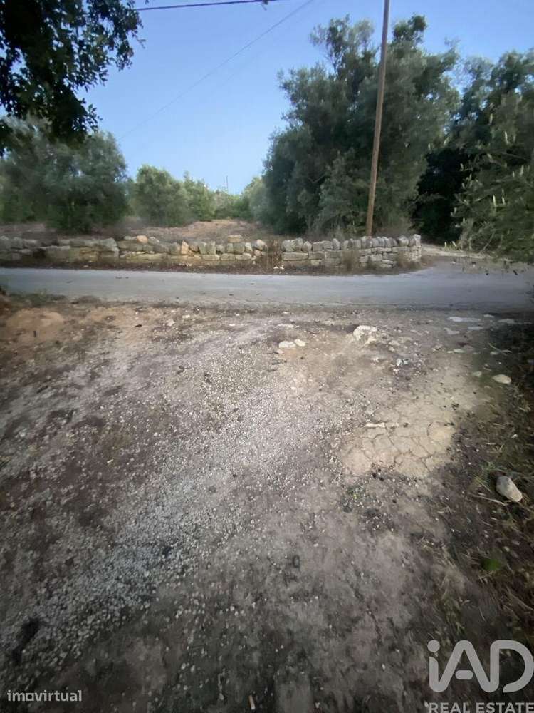 Terreno Agrícola em Santa Bárbara de Nexe - Grande imagem: 5/6