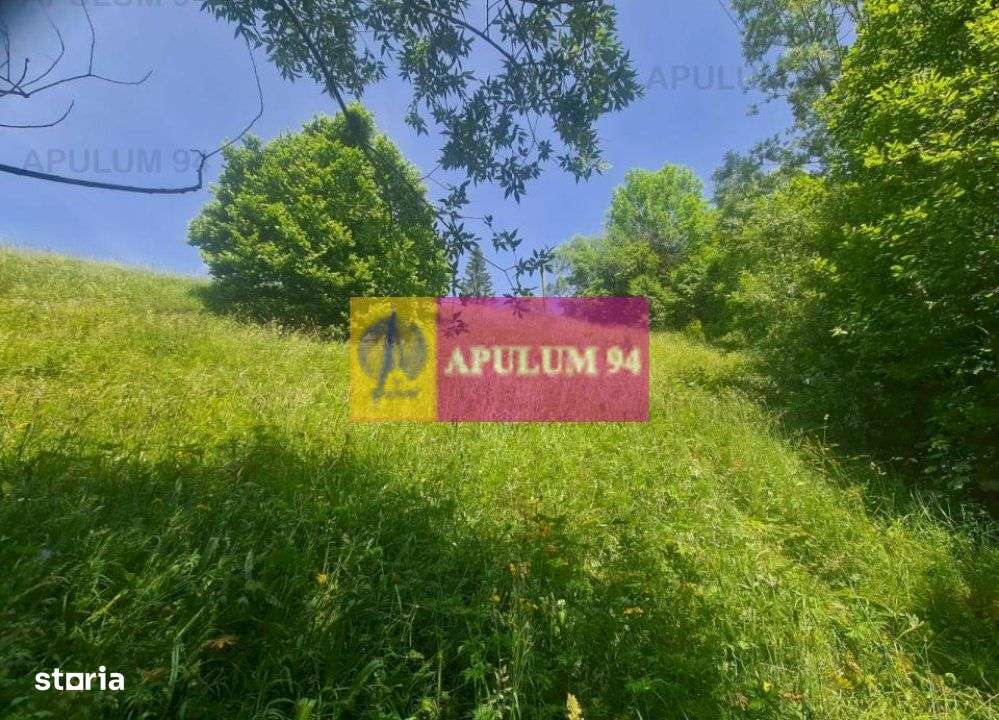 Teren de vânzare în Bușteni - Zona Zamora - Imagine principală: 3/20