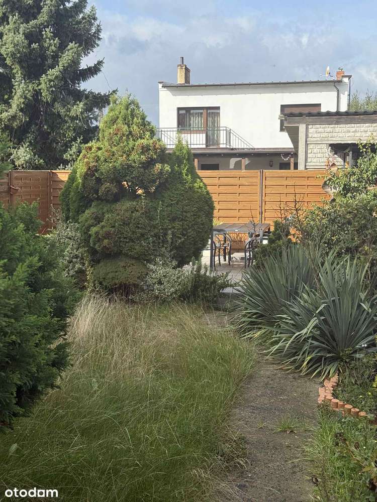 Funkcjonalny bliźniak w Lipnie Leszno-18