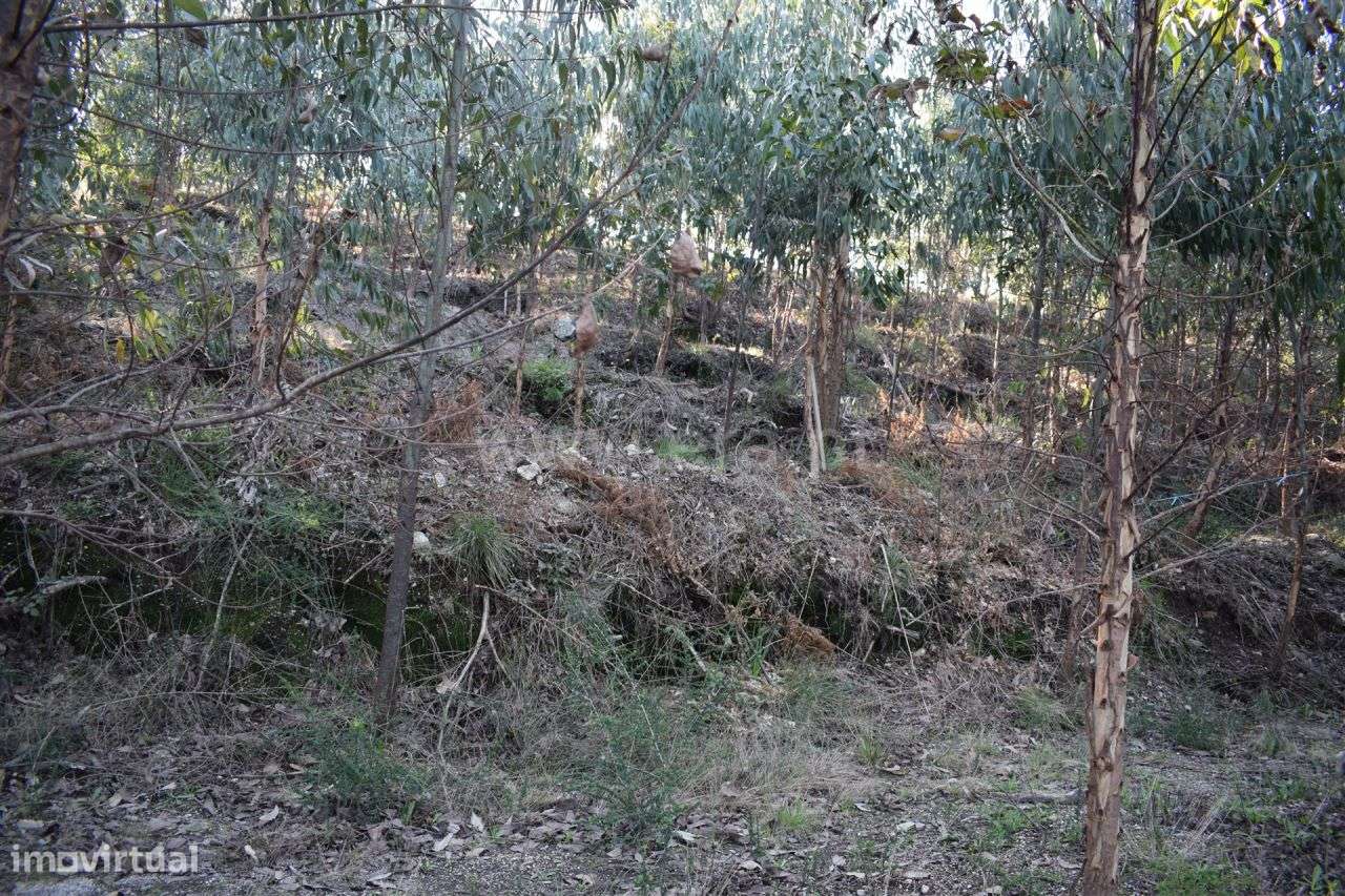 Terreno - Grande imagem: 5/20