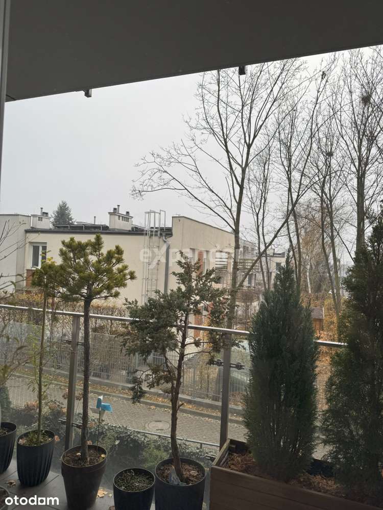 Design - Komfort 3 Pokoje Oś. B.śmiałego 2015 - Pełny obrazek: 5/11