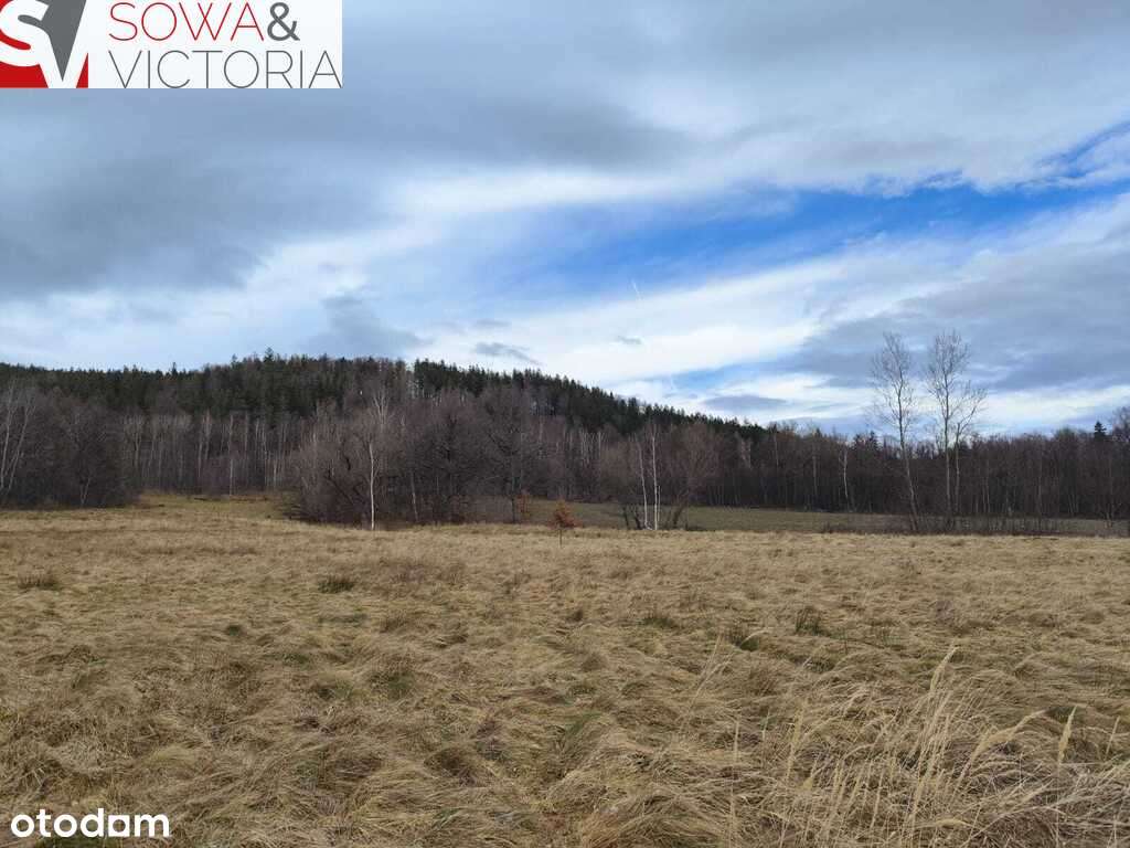 Działka budowlana z widokiem na Szrenice i Chojnik - Pełny obrazek: 2/6