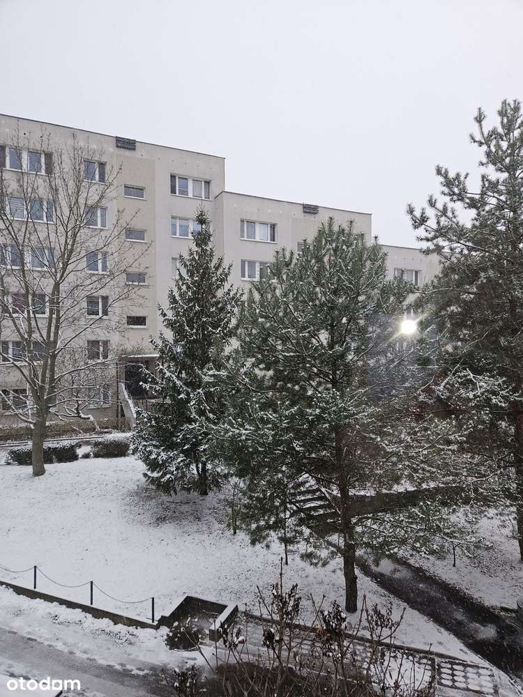 Piaski,2 pokoje-1 piętro!!!!-11