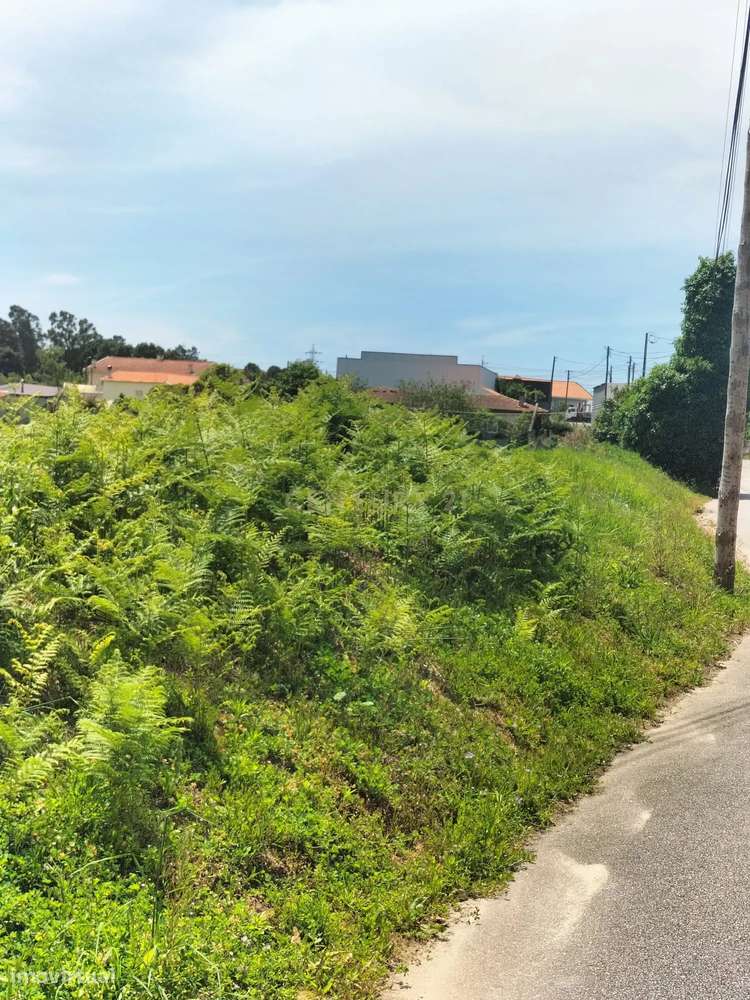 Terreno Urbanizável p/ Construção - Grande imagem: 4/9