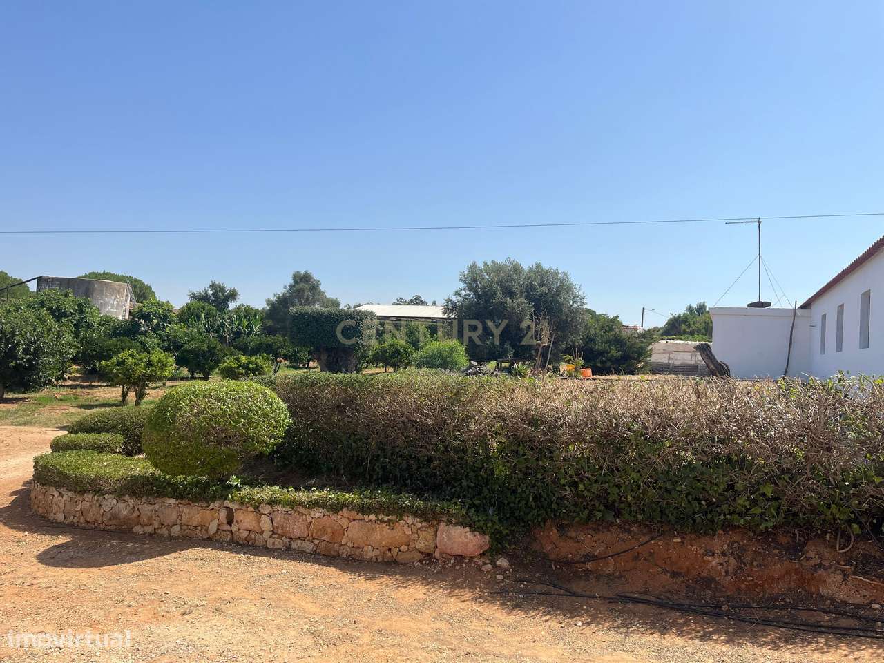 Quinta com 208.790m2, em  Plena produção de Citrinos, e estufas, com e - Grande imagem: 3/22