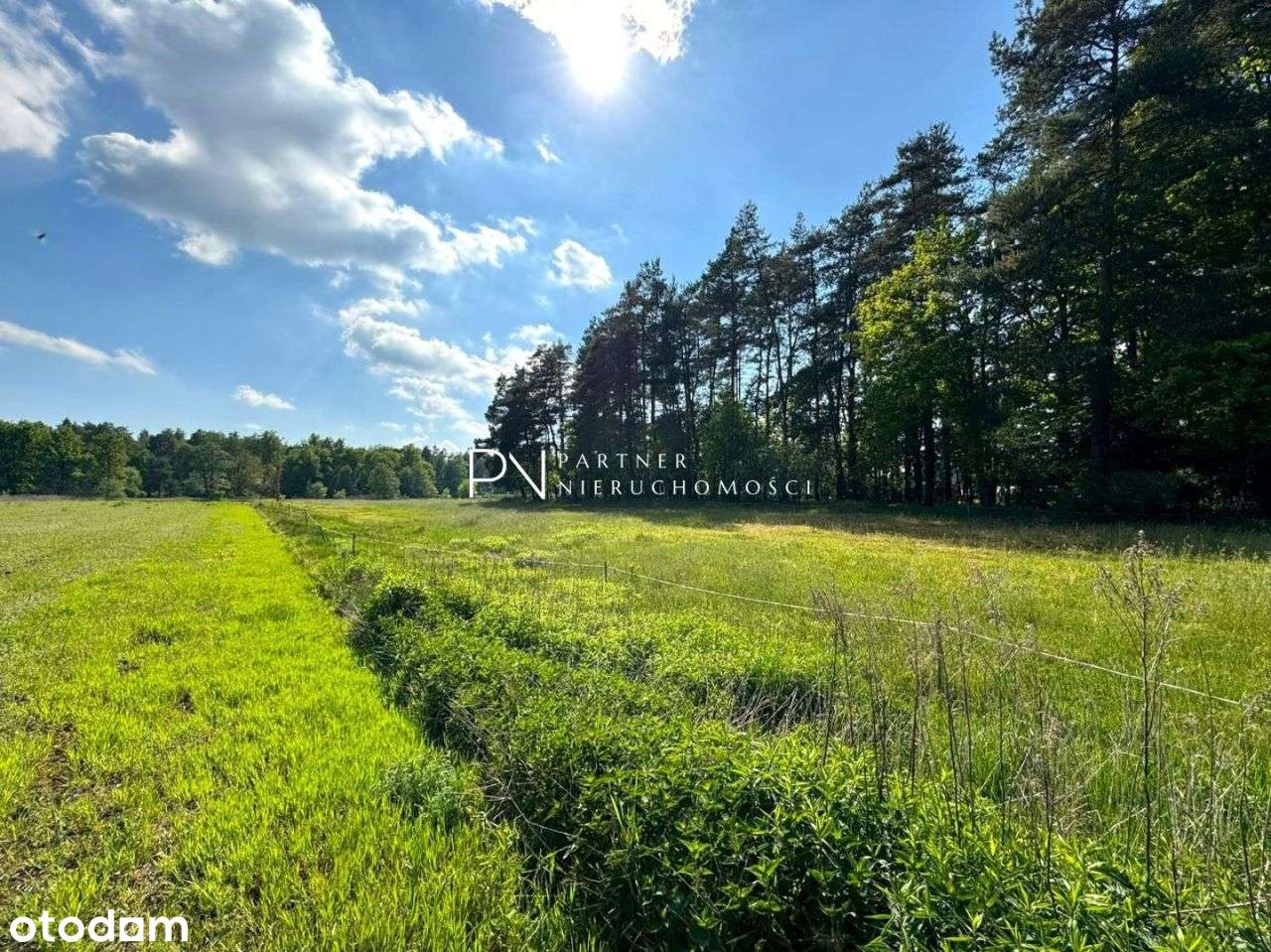 Urokliwa działka budowlana w Rudach - Pełny obrazek: 5/9