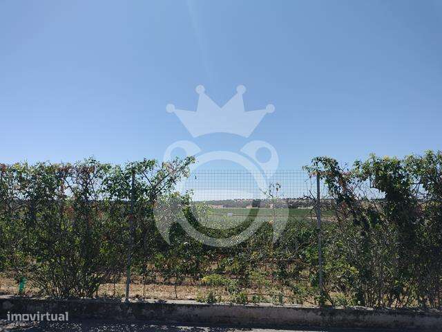 Lote de terreno com projecto - Grande imagem: 4/13