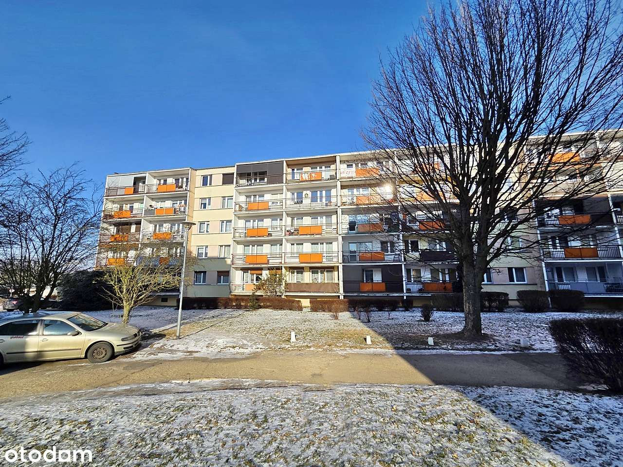 Bardzo ładne i gotowe do wprowadzenia-18