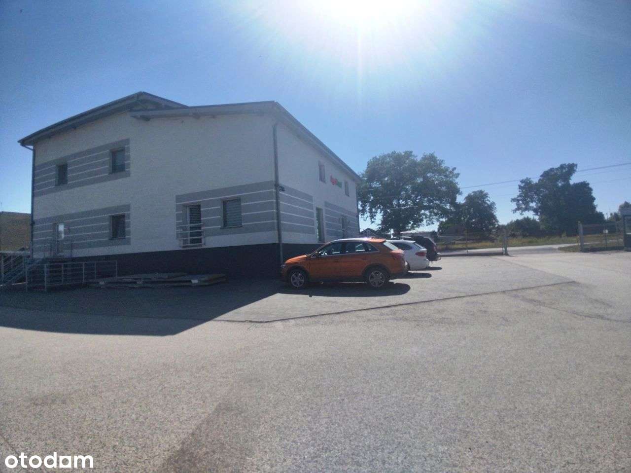 Działka, 8 500 m², Gościejewo - Pełny obrazek: 4/9