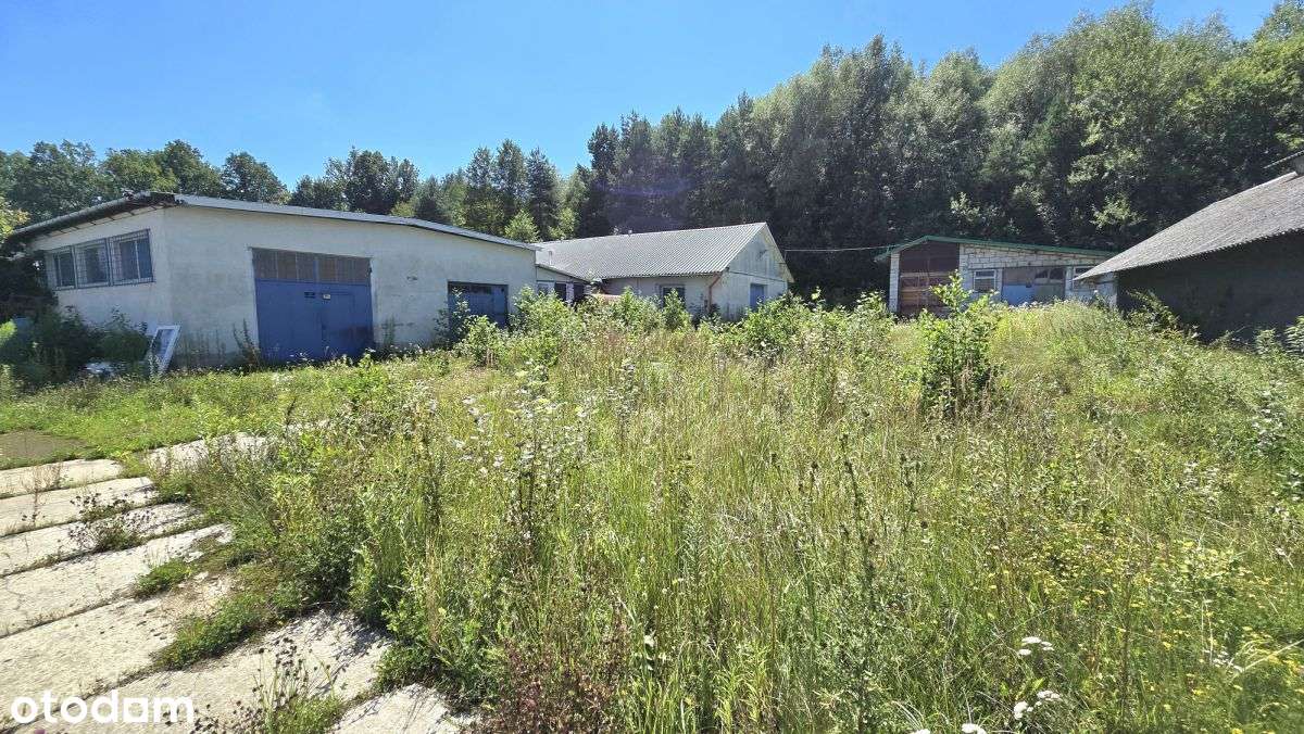 Na sprzedaż hale i budynki magazynowe - Pełny obrazek: 3/14