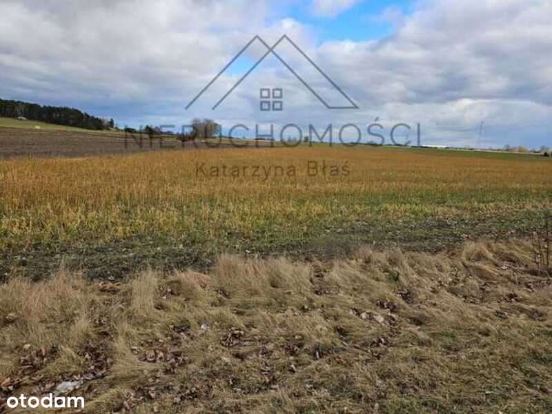 Działka budowlana w Białej-9