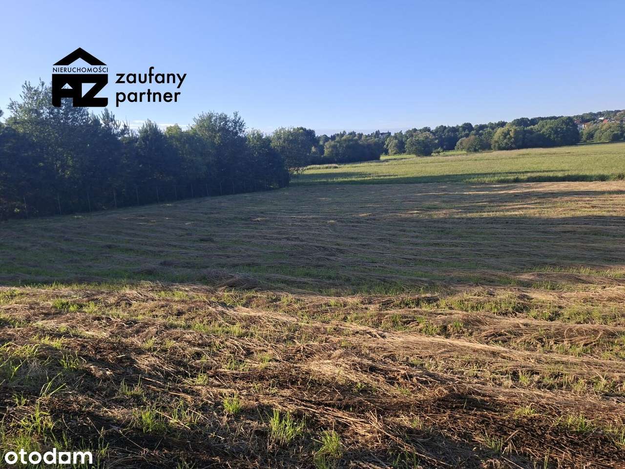 Działka budowlano rolna 1 km od granicy Krakowa - Pełny obrazek: 4/9