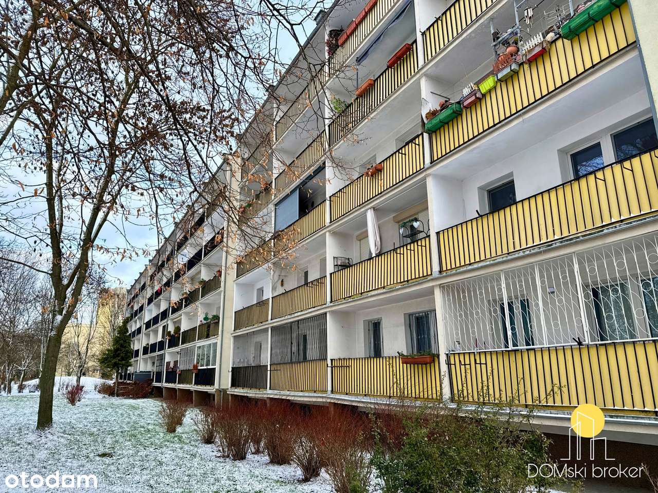 3-pokoje z dużym balkonem na 1. piętrze, widok na zieleń, niski czynsz - Pełny obrazek: 2/17