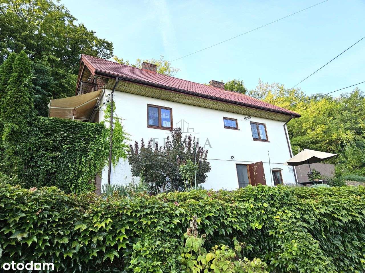 Działająca agroturystyka 5km od Spały!!!!-18