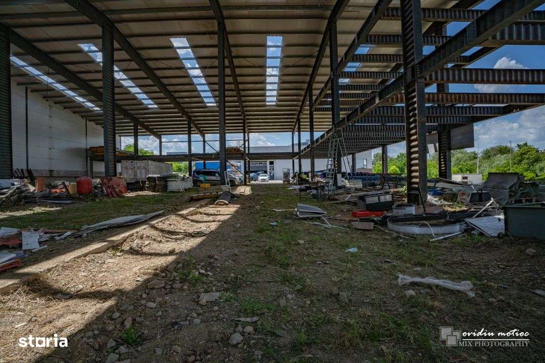 Hale in parcul Tetarom I-12