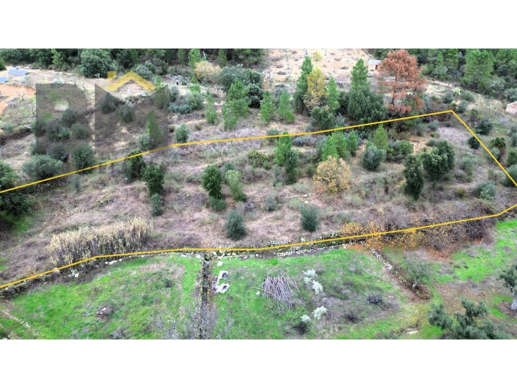 Terreno rústico com 3080m2, para venda, em Salgueiro do Campo! - Grande imagem: 2/10