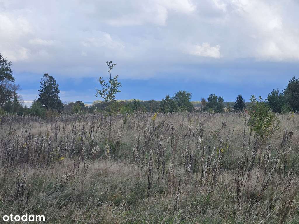 Izbica gm. Główczyce działka 82 ary,spn wydmy mpzp - Pełny obrazek: 5/9