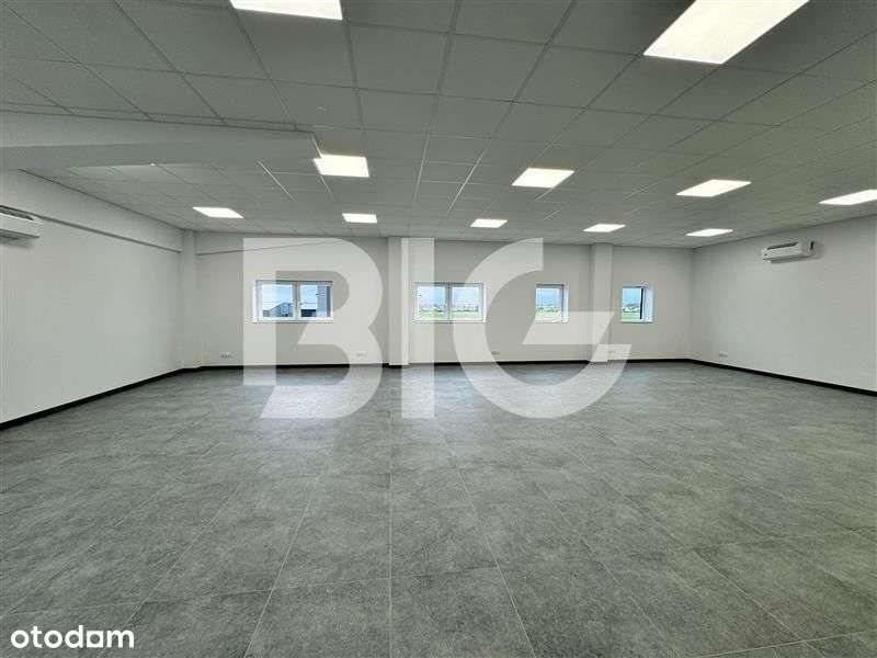 Nowy, samodzielny obiekt magazynowy - Pełny obrazek: 4/6