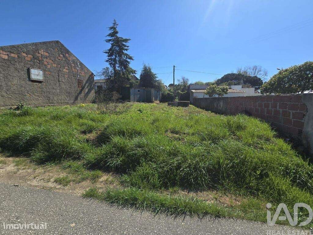 Terreno para construção em Lamas e Cercal de 243,00 m2 - Grande imagem: 4/6