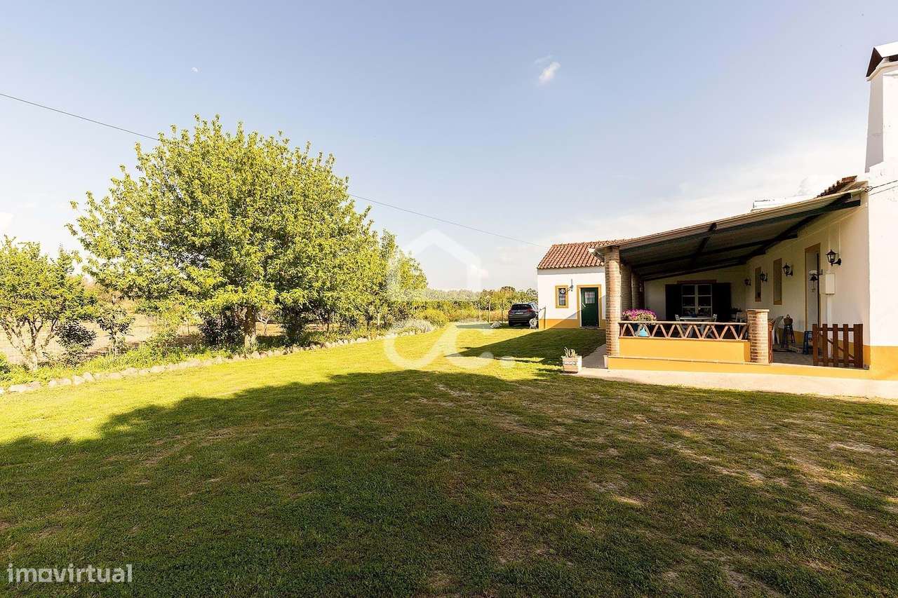 Quinta de 9250m2 c/ Moradia T4 térrea, anexo e armazém | Azaruja-34