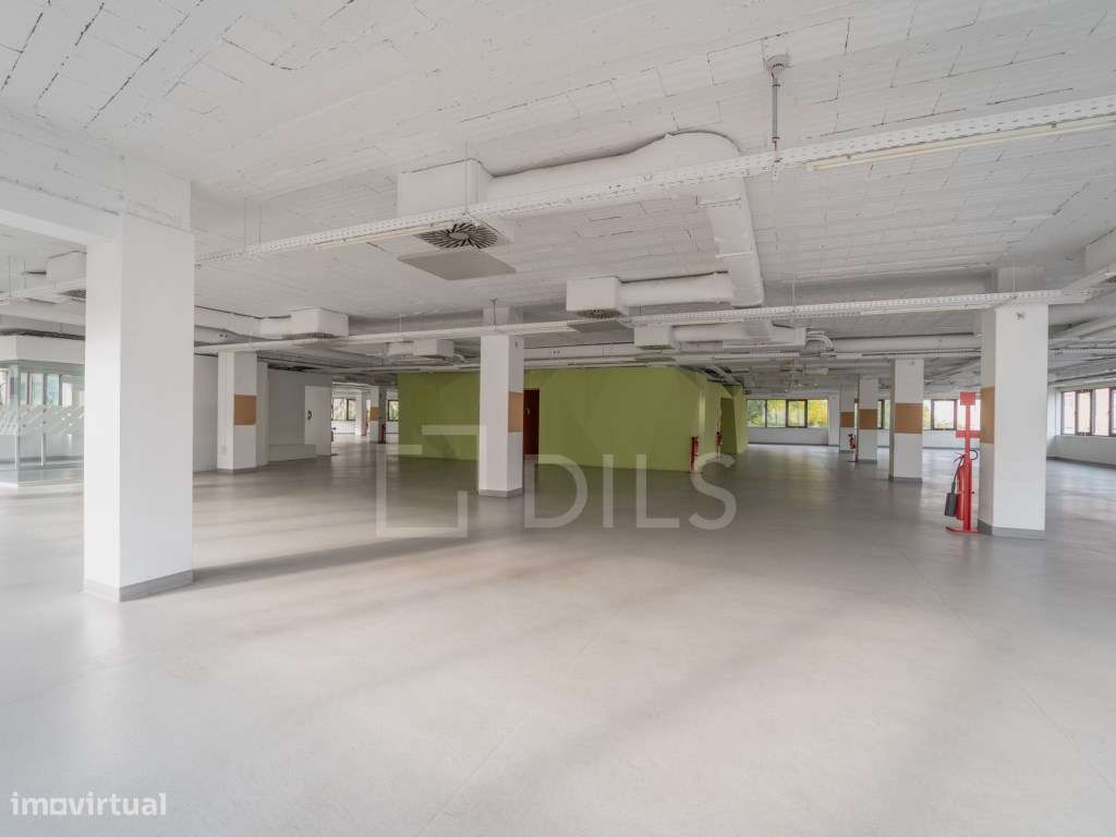 Escritório para arrendar, na Rua Ricardo Severo, Boavista - Grande imagem: 5/21