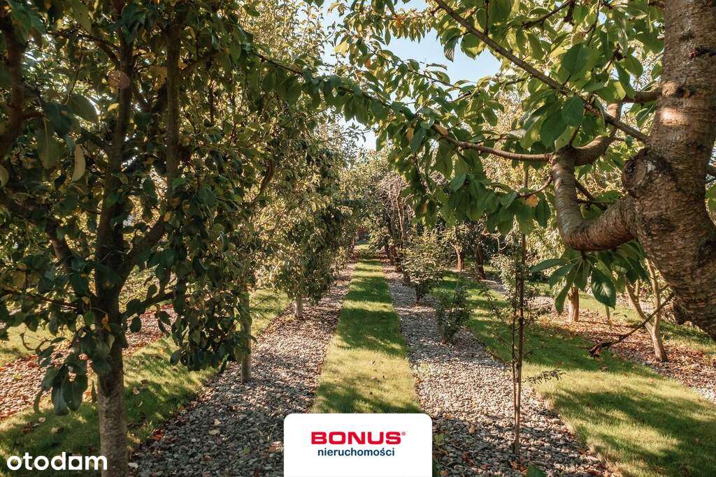 Dom w ciszy i spokoju, 15 km od Lublina. - Pełny obrazek: 4/20