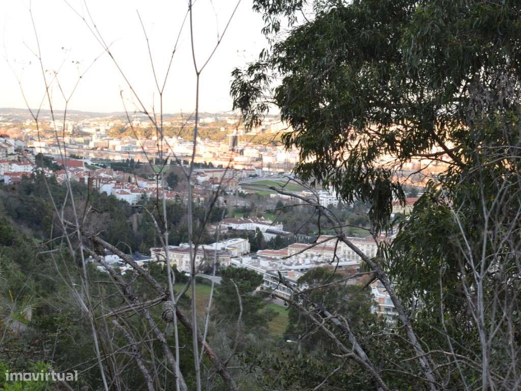 Lote de Terreno - Santa Clara - Grande imagem: 4/11