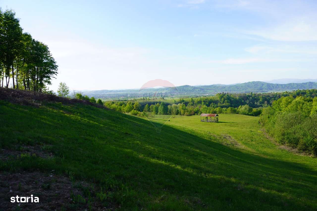 Teren 15,000mp Sighetu Marmatiei / Strada Mocăniței - Imagine principală: 5/13