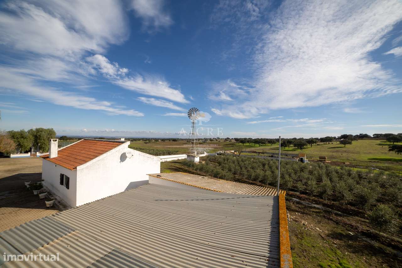 Herdade Alentejo-14