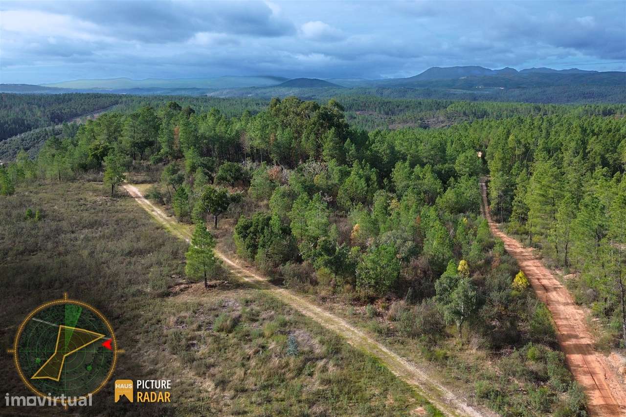 Terreno 1ha | Vistas de Vale | Salgueiro do Campo, PT-21