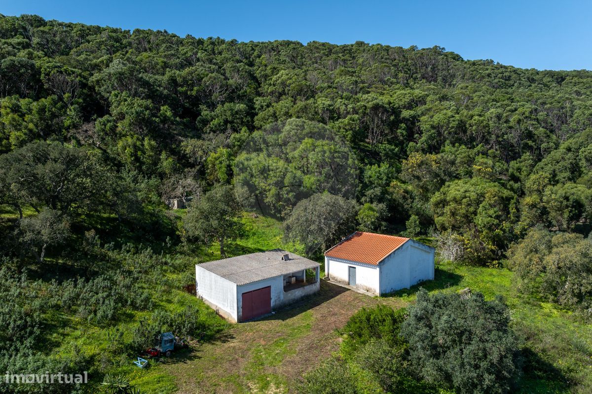 Terreno  para venda