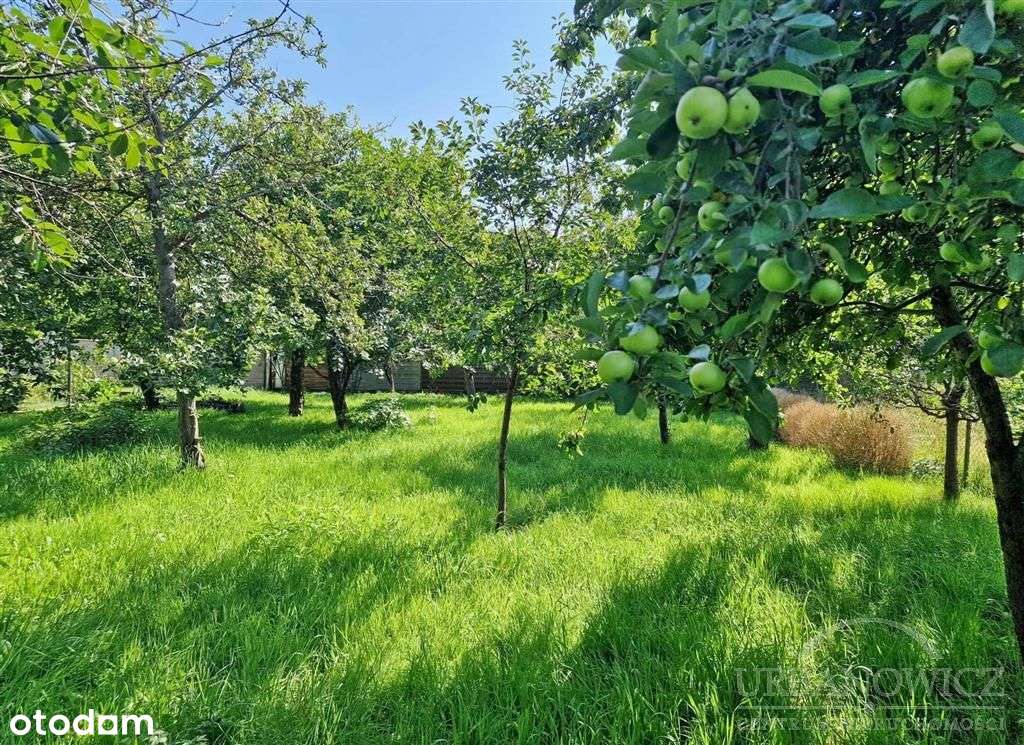 Działka na Rokosowie, Obrońców Tobruku!-1