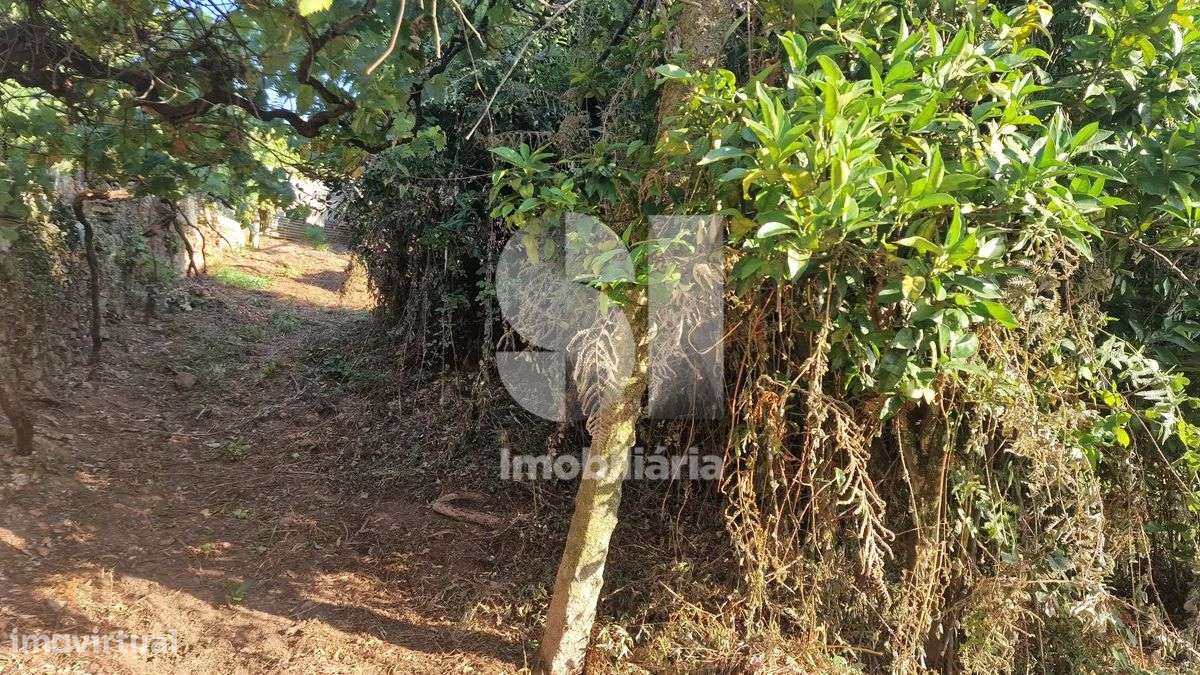 Terreno - potencial de investimento - Astromil - Paredes-43