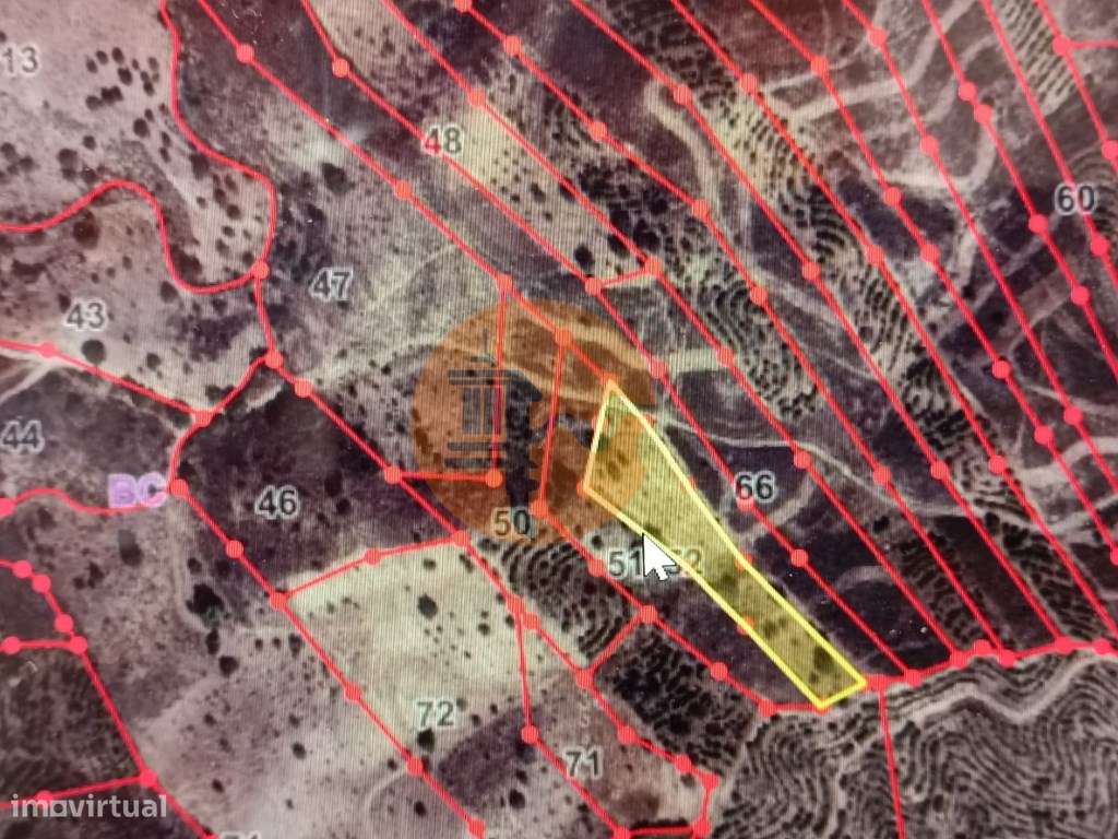 TERRENO RÚSTICO COM 4.960 M2 - COM ÁRVORES - DOIS ACESSO - AZINHAL ... - Grande imagem: 3/33