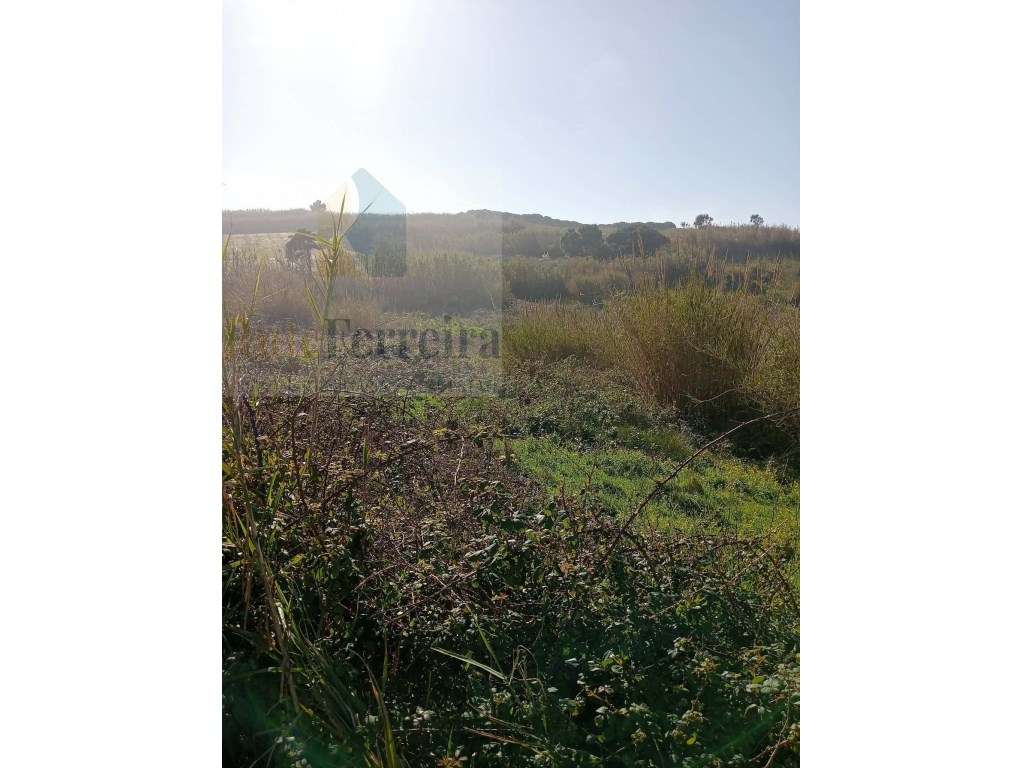 Terrenos rústicos com uma área total de 7.600 m2 situado na Atalaia - Grande imagem: 5/7