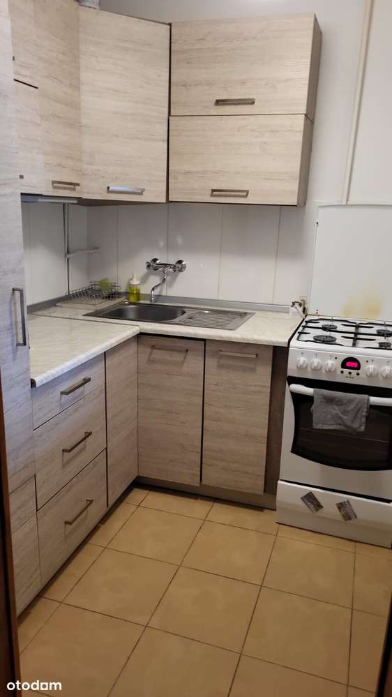 Tanie mieszkanie dwupokojowe na Winogradach - Pełny obrazek: 5/12