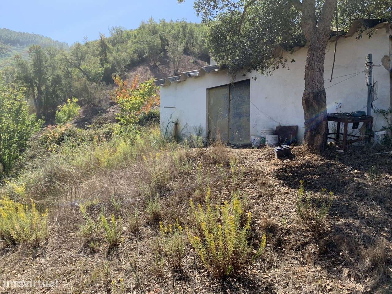 Quinta Monte da Ribeira - Grande imagem: 5/11