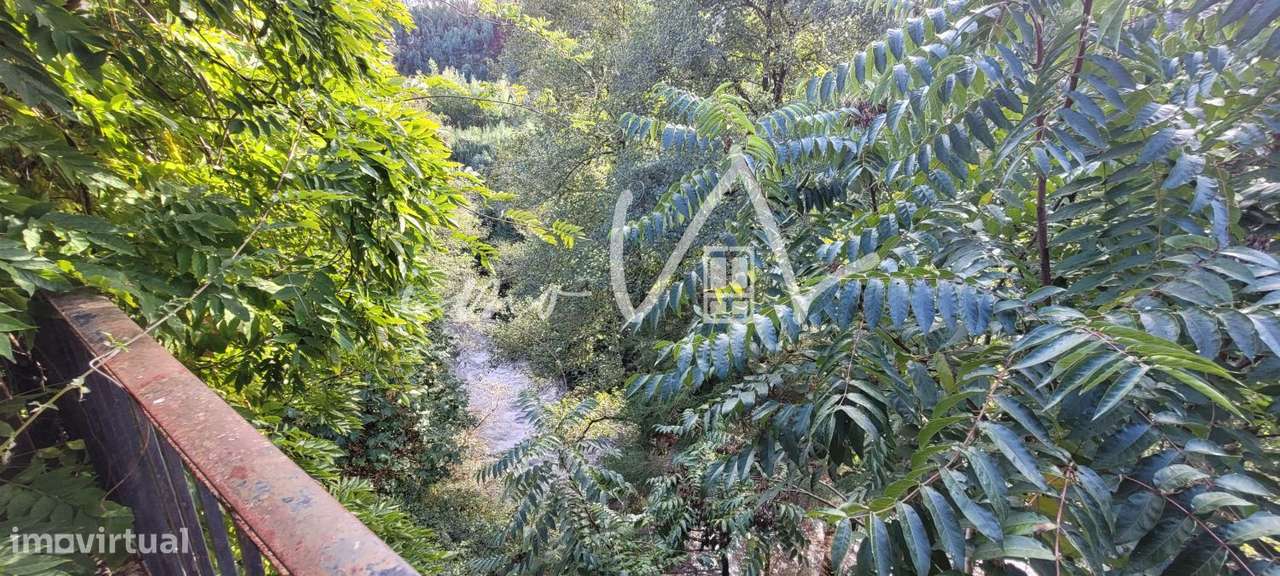 Restaurante Ribeira de Alge - Grande imagem: 5/39