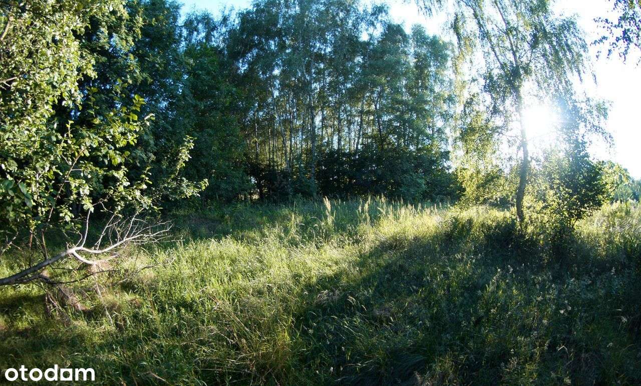 Piękna działka w Rybnik - Niedobczyce | Okazja!-1