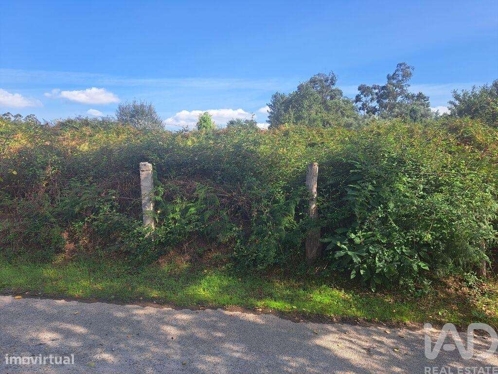 Terreno em Freiriz de 541,00 m2 - Grande imagem: 4/7