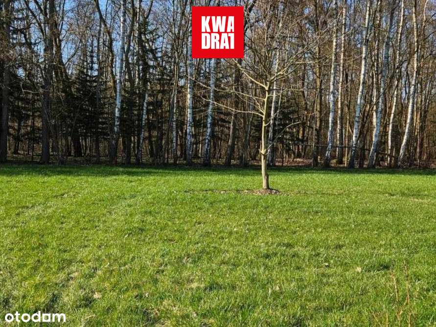 1505m2/ prąd/woda/ Ostatnie - Pełny obrazek: 4/5