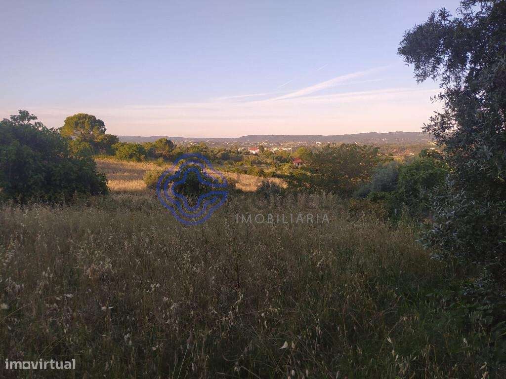 Lote de terreno com projeto aprovado a 2 minutos do centro da cidade d - Grande imagem: 4/33